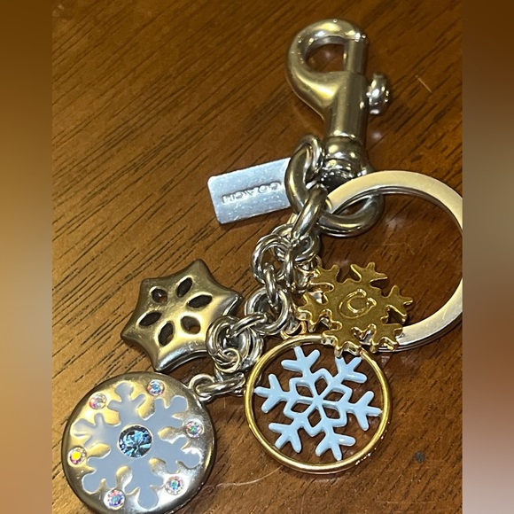Coach Snow Cluster Metal Bag Charm (Silver) - Picture 4 of 7